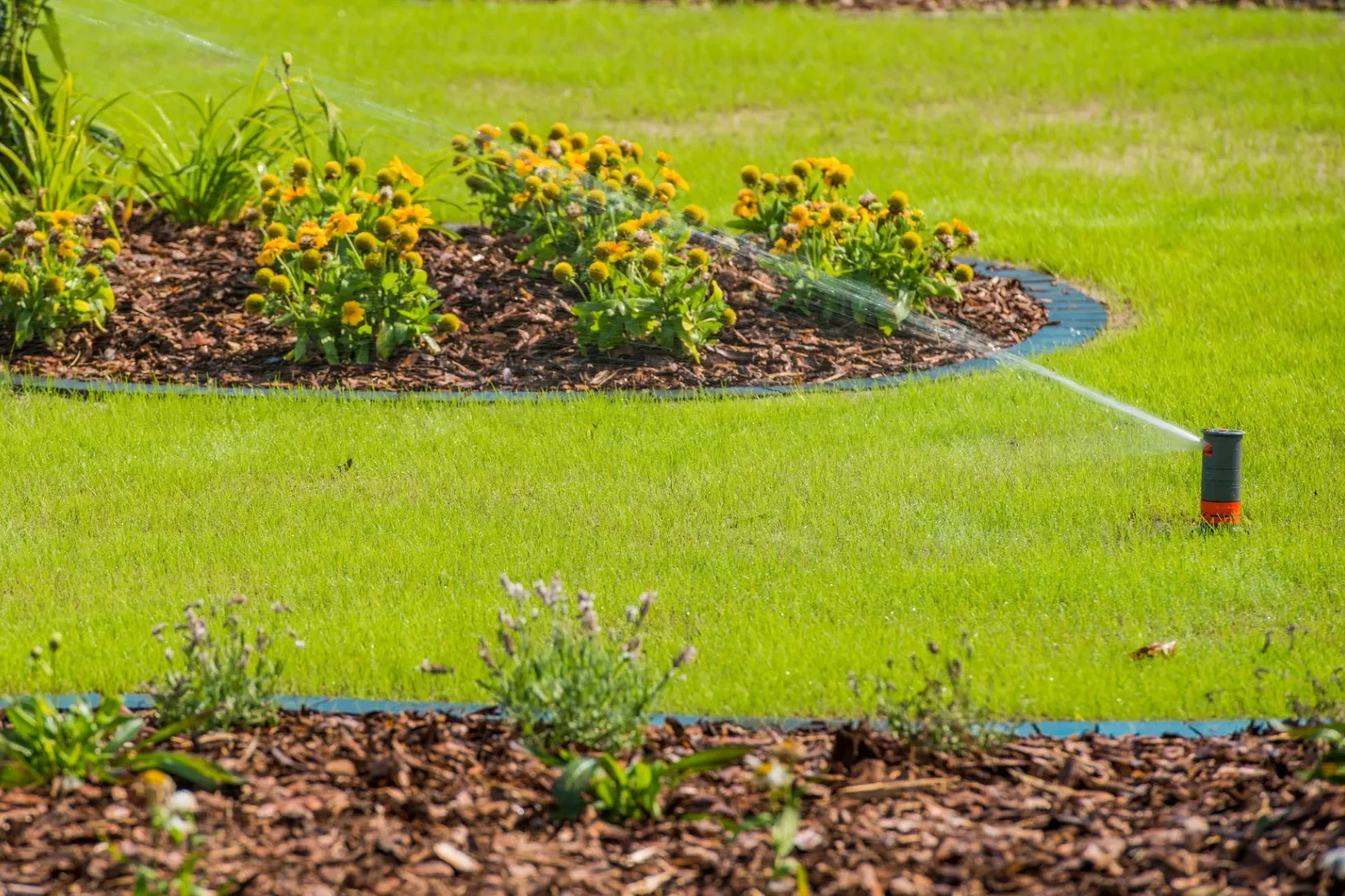 This image showcases a vibrant landscaped garden being watered by an efficient sprinkler system, emphasizing the importance of proper irrigation for maintaining healthy lawns and gardens. It illustrates the role of irrigation services in promoting a thriving and sustainable landscape.