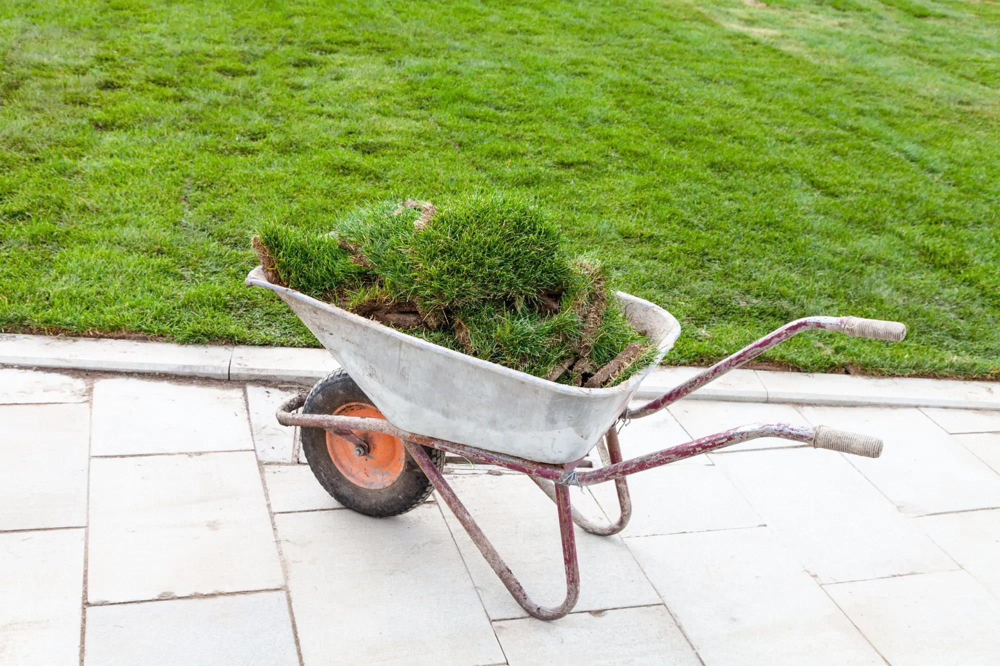 A wheelbarrow full of sod scraps sits beside freshly laid sod, illustrating ER Outdoor Solutions' meticulous sod installation process." Description: "This image captures the final stages of a sod installation, with a wheelbarrow full of sod scraps positioned next to newly laid sod. ER Outdoor Solutions ensures every sod installation project in Northeast Florida is completed with attention to detail, from laying the sod to thorough cleanup, leaving your property with a pristine, green lawn."