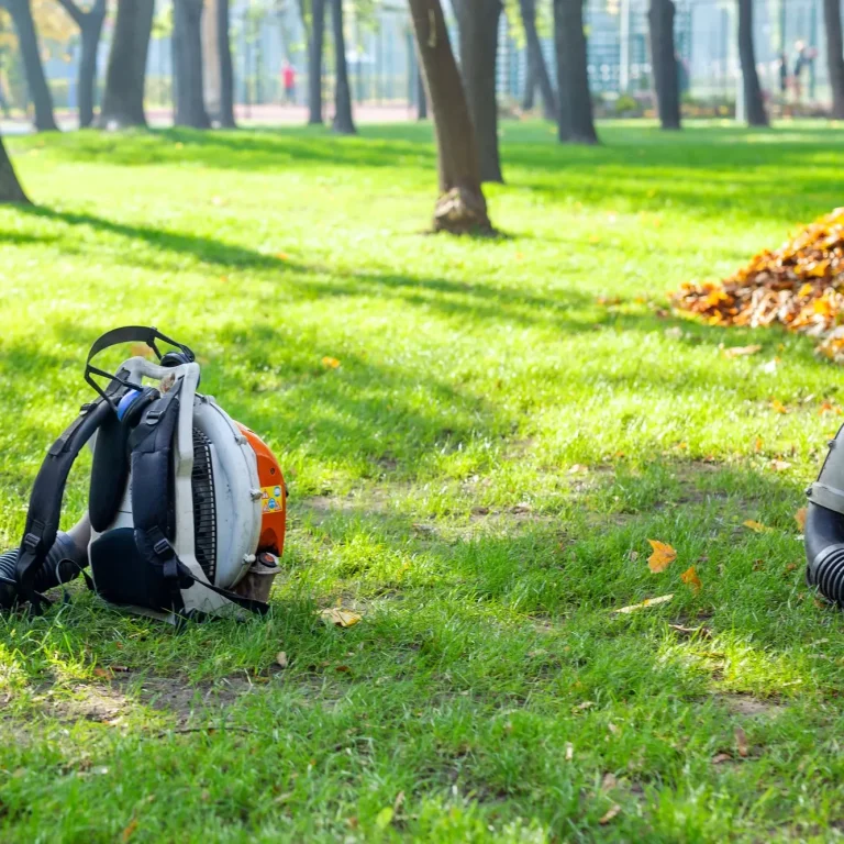  two leaf blowers resting on green grass in a park, symbolizing the readiness for seasonal cleanup. It underscores the importance of using professional equipment for effective leaf removal and landscape maintenance, ensuring a clean and tidy outdoor space.